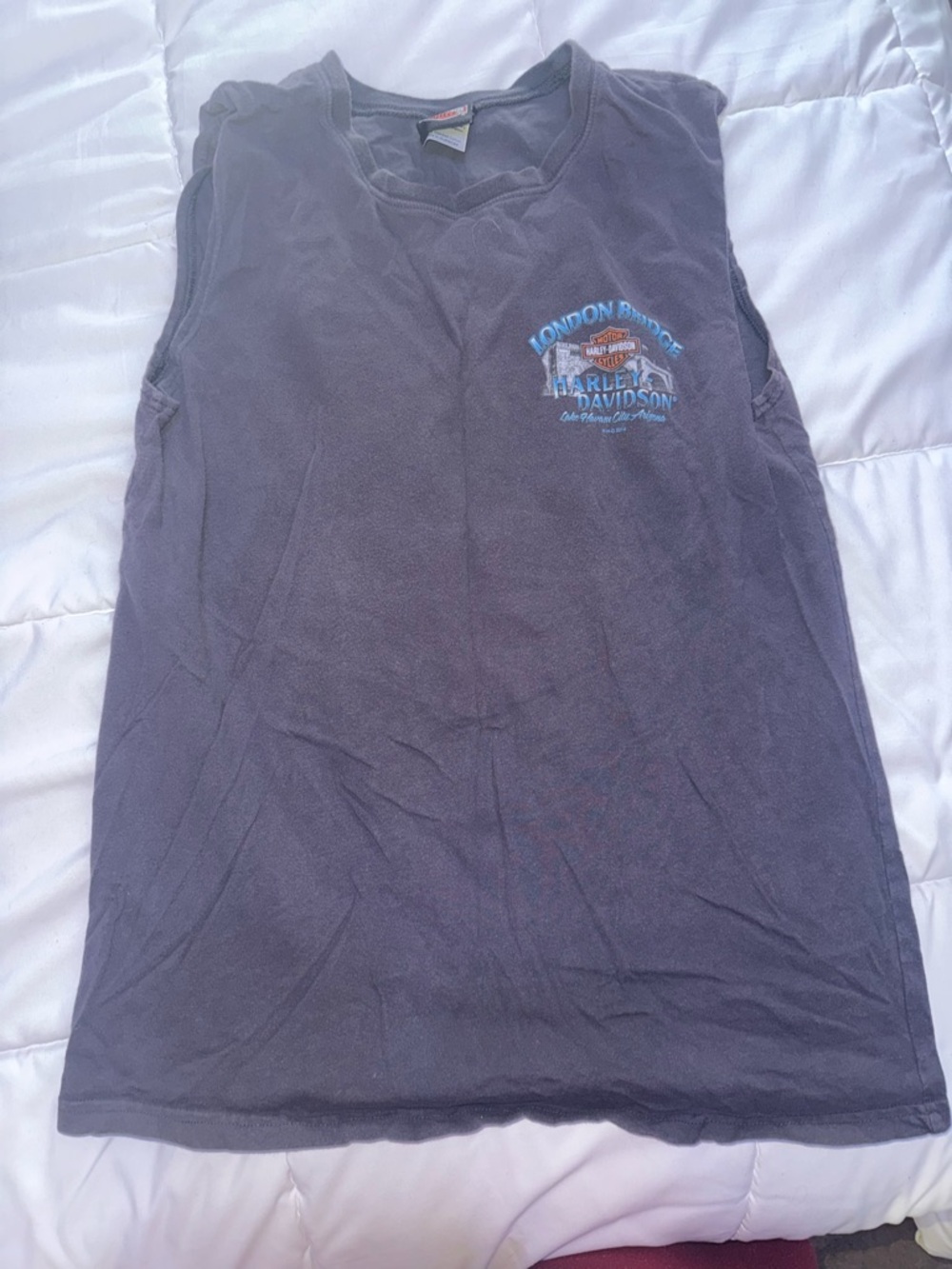Harley-Davidson Men's Dark Gray Tank with Blue and Orange Chest Logo